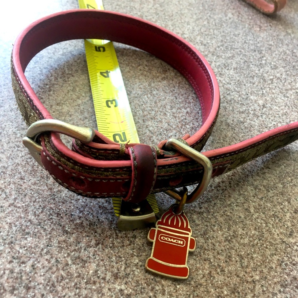 Coach Dog Collar - mid size (19”) worn with love 💖